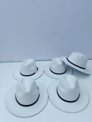 Wide Brim Fedora Hat - White
